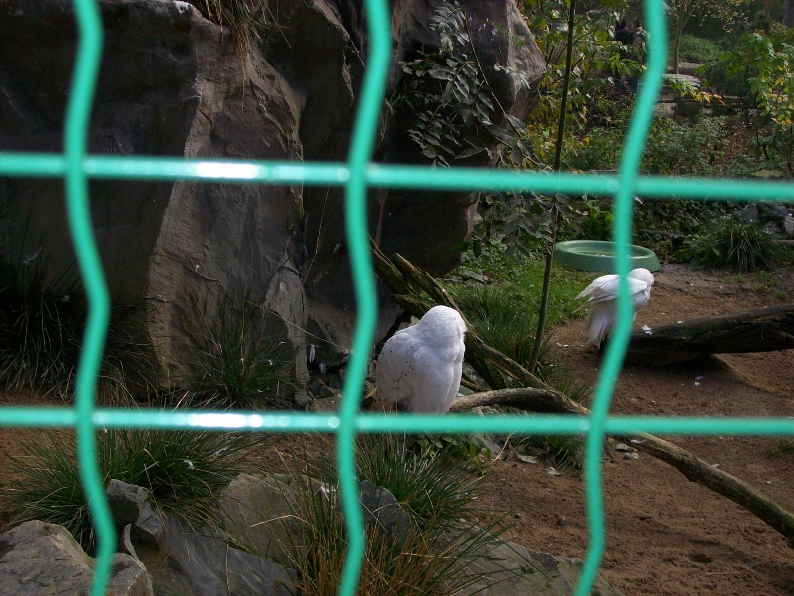 Zoom 18.10.2008-005.jpg